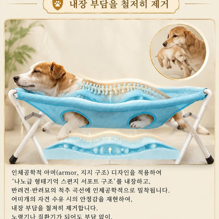 애완동물 목욕용 해먹, 발톱 정리 및 긁힘과 물림 방지를 위한 고정 장치.