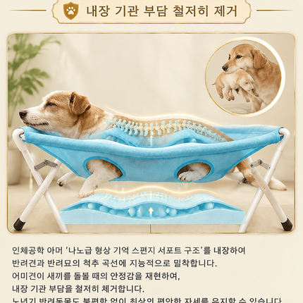 애완동물 목욕용 해먹, 발톱 정리 및 긁힘과 물림 방지를 위한 고정 장치.