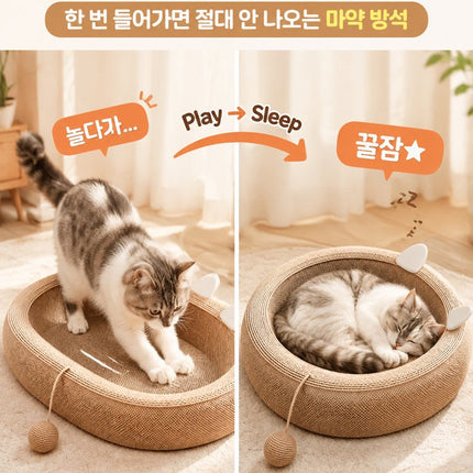 초대형 원형 고양이 스크래쳐 하우스